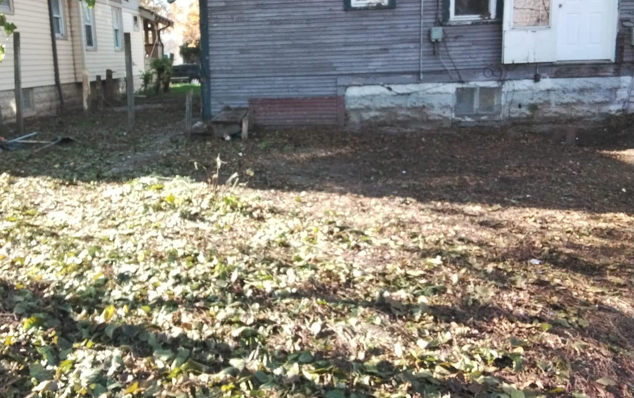 After property cleanout - clean property